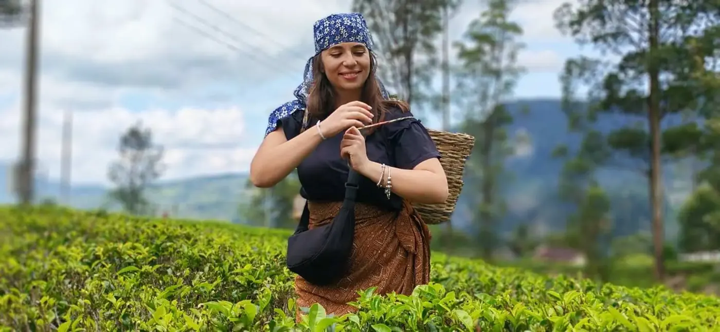 Nuwara Eliya Tea Plantations