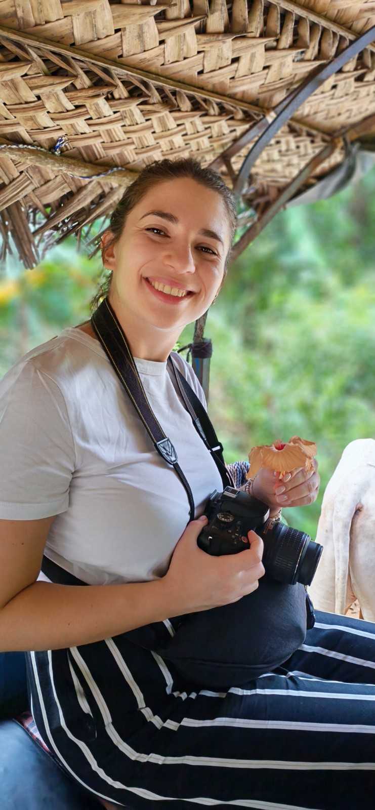 Wildlife Safari