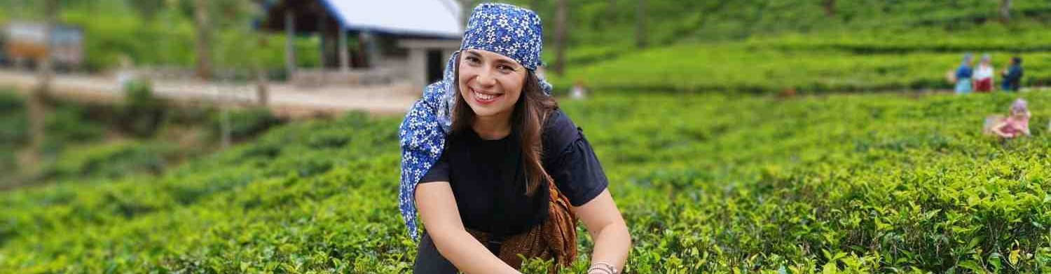 Lanka Heritage Tours - Authentic Sri Lankan Travel